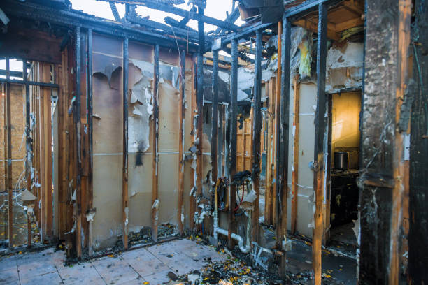 Professional Structural Rebuild technician working in Giddings, TX